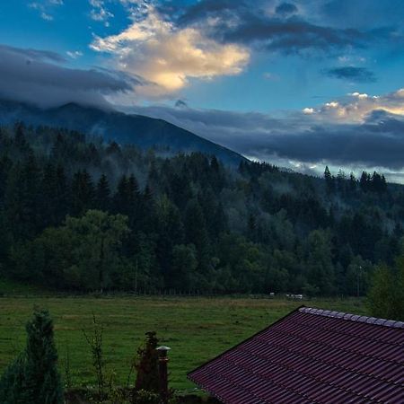 Pensiunea Mara *** Borşa Екстериор снимка