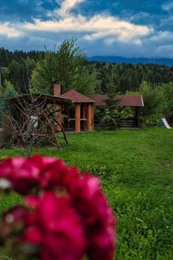Pensiunea Mara *** Borşa Екстериор снимка